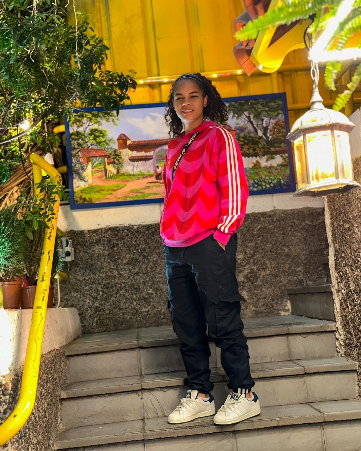 Guacarí Model